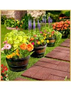 Patio, Lawn & Garden
